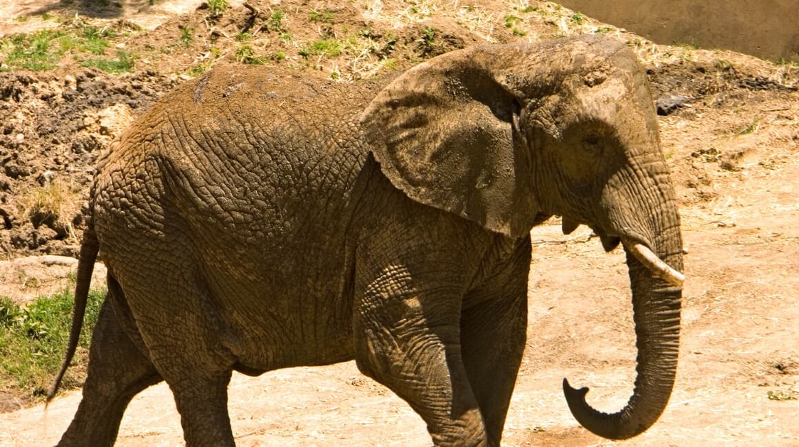 Beyond good banking services